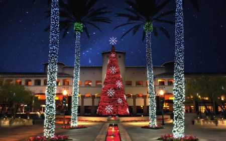 Christmas_trees_Fairmont-Scottsdale-800x497