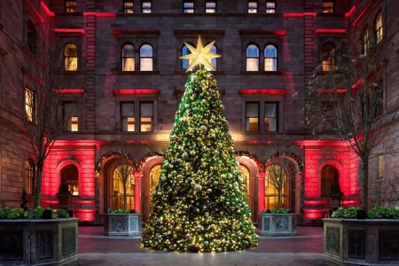 christmas_trees_new_york_palace_1