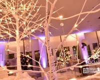 district-social-shy-magazine-dc-fashion-week-2025-15