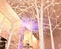 district-social-shy-magazine-dc-fashion-week-2025-37