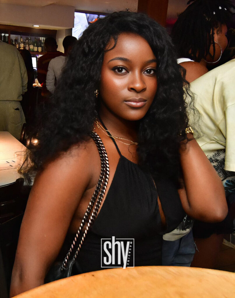 air lounge shy mag 15