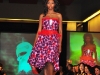 dc-fashion-week-finale-02-27-2011250