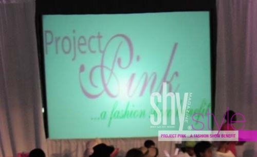 project-pink-a-fashion-show-benefit-dc-20100