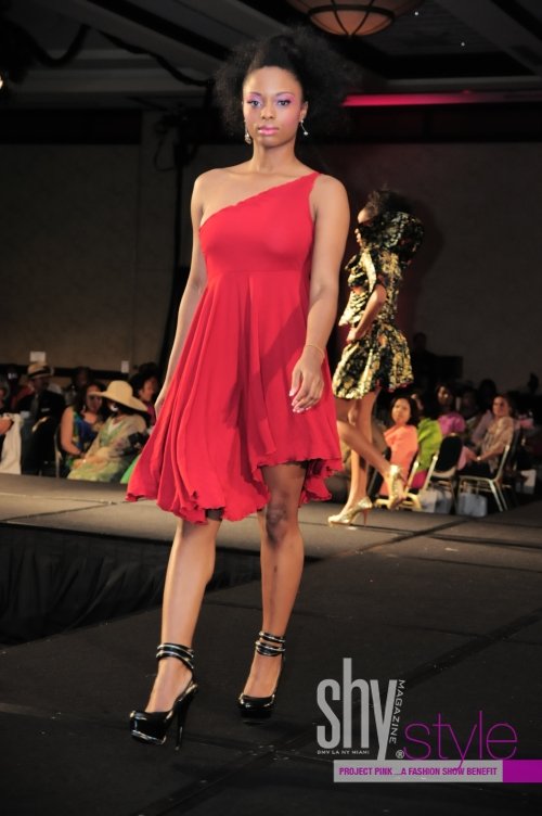 project-pink-a-fashion-show-benefit-dc-201025